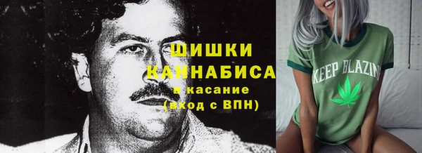 ешки Новодвинск