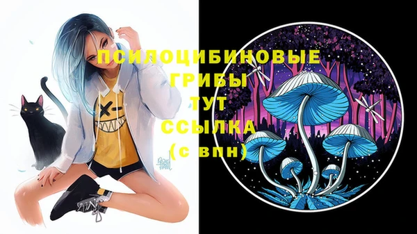 ешки Новодвинск