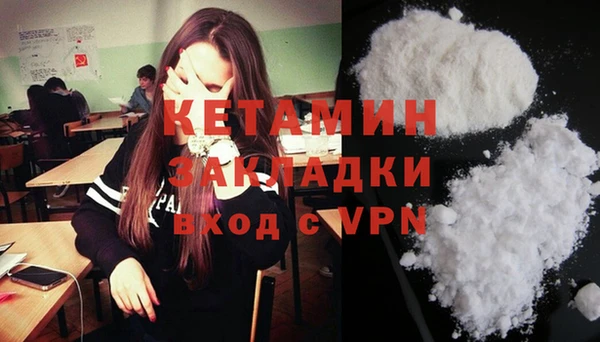ешки Новодвинск