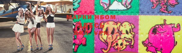 ПСИЛОЦИБИНОВЫЕ ГРИБЫ Няндома