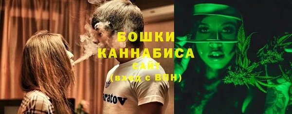 ПСИЛОЦИБИНОВЫЕ ГРИБЫ Няндома