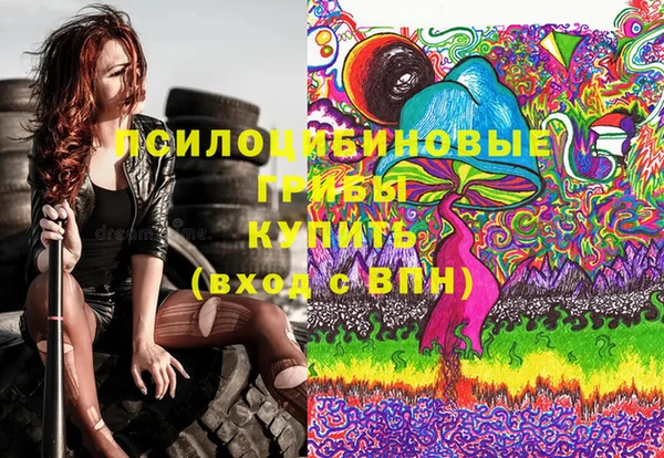 ешки Новодвинск