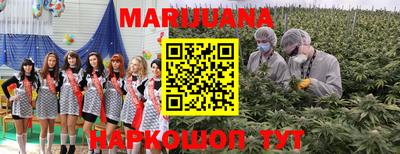PSILOCYBIN Заволжье