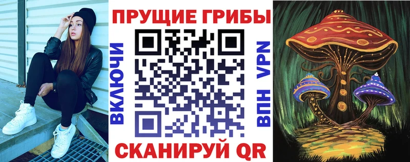 kraken как зайти  Урюпинск  Псилоцибиновые грибы мухоморы 