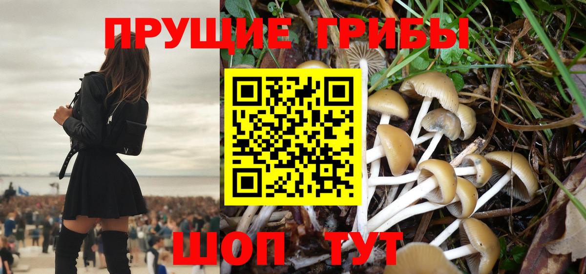 Псилоцибиновые грибы GOLDEN TEACHER Урюпинск