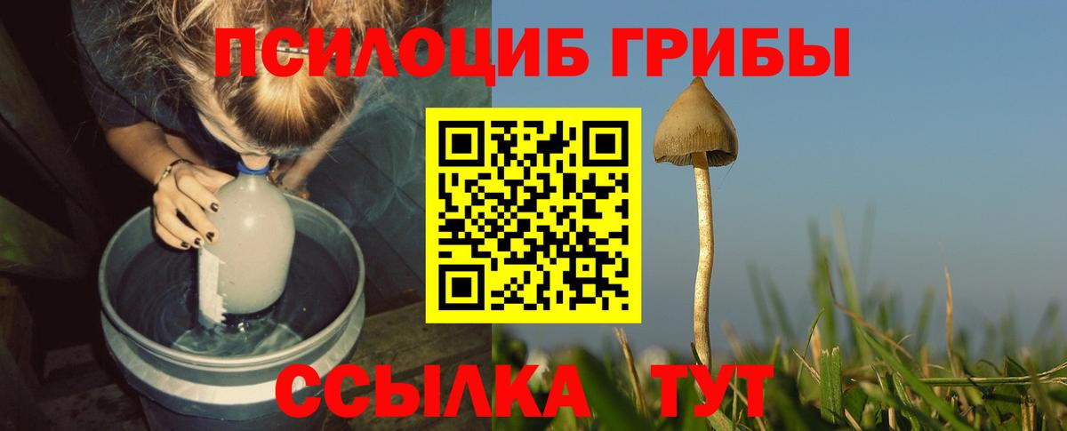 Галлюциногенные грибы MAGIC MUSHROOMS  Вход с VPN  Урюпинск  Псилоцибиновые грибы Magic Shrooms 